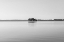 Picture of FLOATING ISLAND
