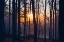 Picture of FOGGY SUNRISE