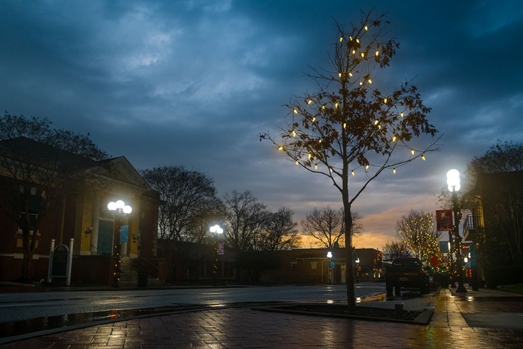 Picture of CHARLIE BROWN TREE