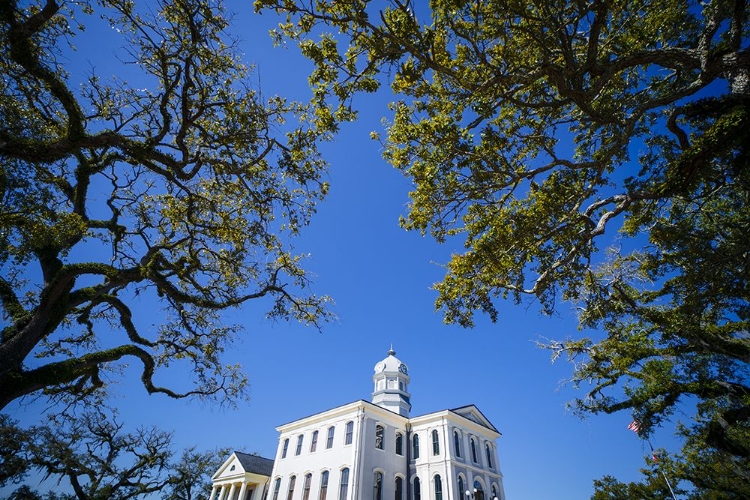 Picture of COURTHOUSE 5