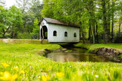 Picture of COVERED BRIDGE