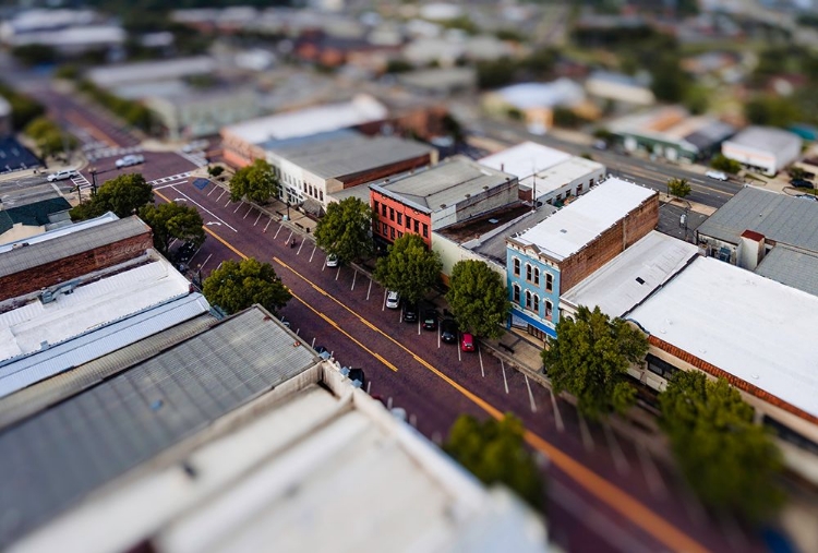 Picture of DOWNTOWN THOMASVILLE MINI
