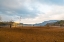 Picture of DRIED OUT 2