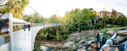 Picture of FALLS PARK PANO 40X16