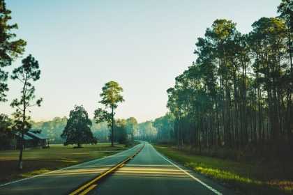 Picture of GOLDEN ROAD