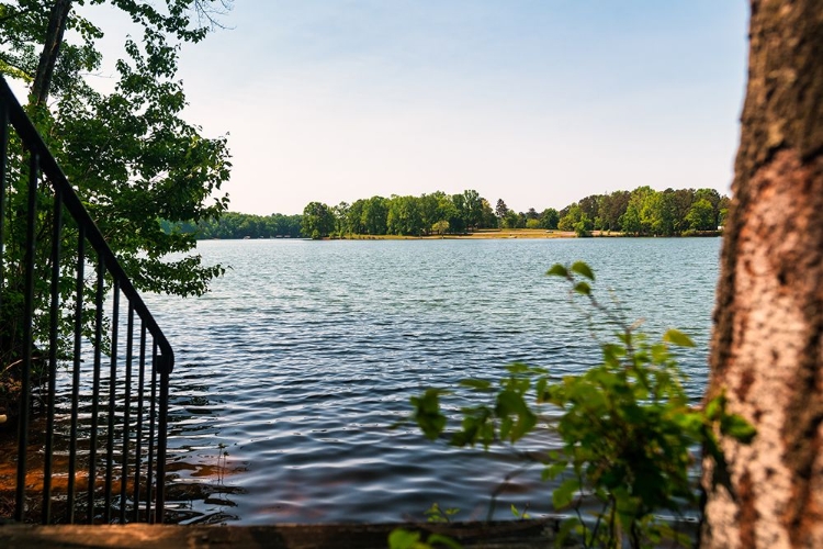 Picture of HARTWELL HORIZON