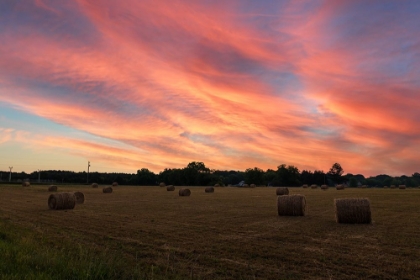 Picture of HAY BAIL SKY