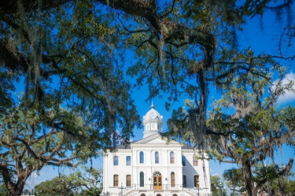 Picture of LIVE OAK COURTHOUSE