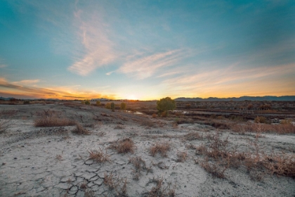 Picture of LOST IN THE DESERT