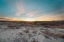 Picture of LOST IN THE DESERT
