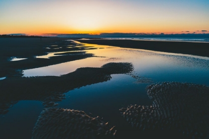 Picture of MAGIC TIDE POOLS 2