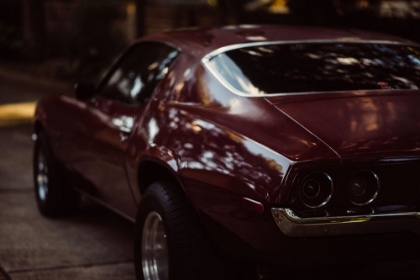 Picture of MAROON CAMARO