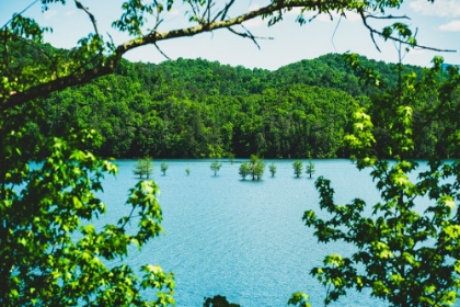 Picture of OCOEE SUMMER 2