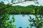 Picture of OCOEE SUMMER 2