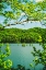 Picture of OCOEE SUMMER 2 VERTICAL