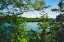 Picture of OCOEE SUMMER 3