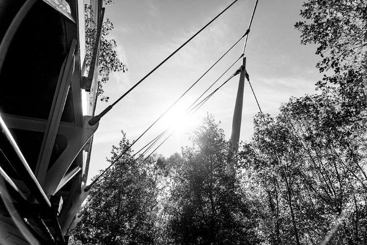 Picture of SUSPENSION BW