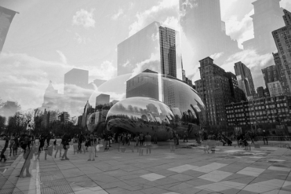 Picture of THE BEAN BW