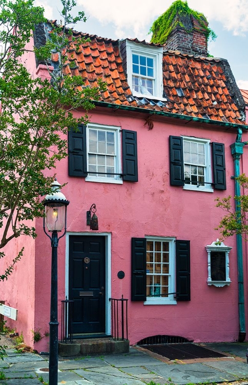 Picture of THE PINK HOUSE