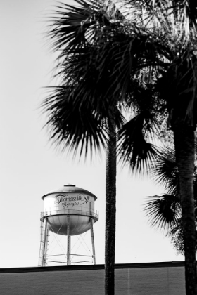 Picture of THOMASVILLE WATERTOWER 2
