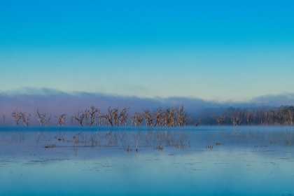Picture of TIRED CREEK MORNING 2