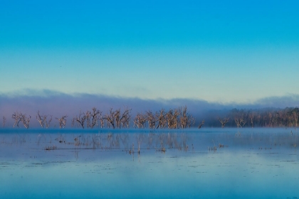 Picture of TIRED CREEK MORNING 2