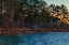 Picture of UNTITLED BLUE CAR SUNSET PHOTO