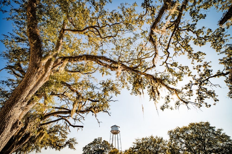 Picture of WATERTOWER 4