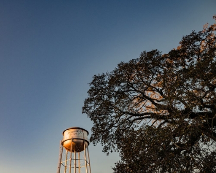 Picture of WATERTOWER 6
