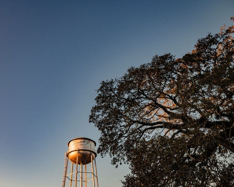Picture of WATERTOWER 6