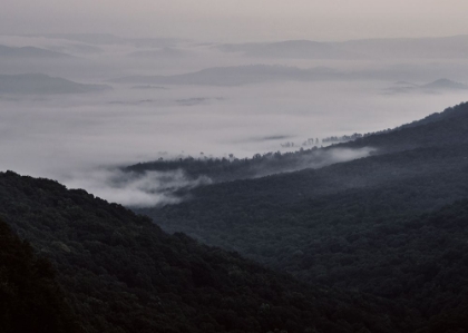 Picture of WAVE OF FOG