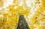 Picture of YELLOW 2B