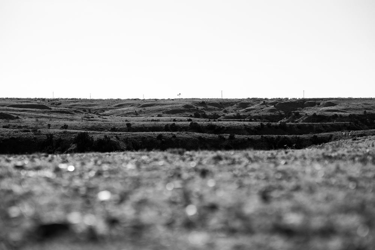 Picture of AMARILLO HILLS