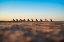 Picture of CADILLAC RANCH 10