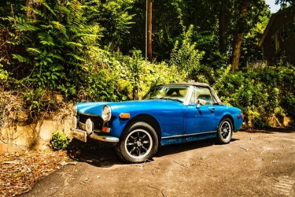 Picture of LITTLE BLUE CAR