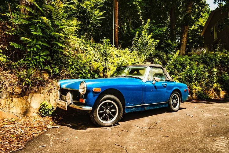Picture of LITTLE BLUE CAR