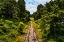 Picture of OVERGROWTH 2
