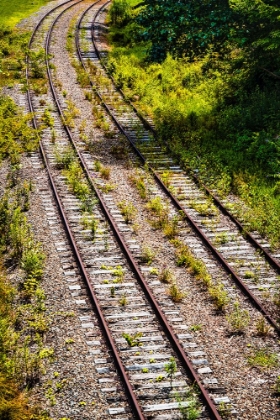 Picture of SALUDA TRACKS CURVE 