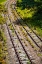 Picture of SALUDA TRACKS CURVE 