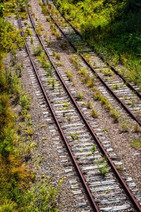 Picture of SALUDA TRACKS