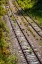 Picture of SALUDA TRACKS