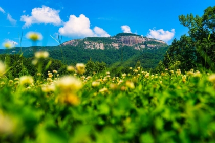 Picture of TABLE ROCK HORIZONTAL