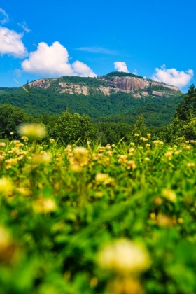 Picture of TABLE ROCK VERTICAL