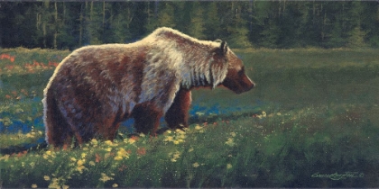 Picture of GRIZZLY