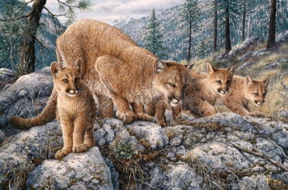 Picture of CAT FAMILY
