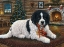Picture of CHRISTMAS COMPANION