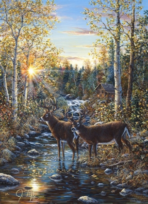 Picture of WHITETAIL DEER