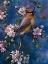 Picture of CEDAR WAXWING