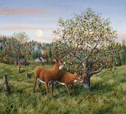 Picture of WHITETAILS UNDER THE APPLE TREE
