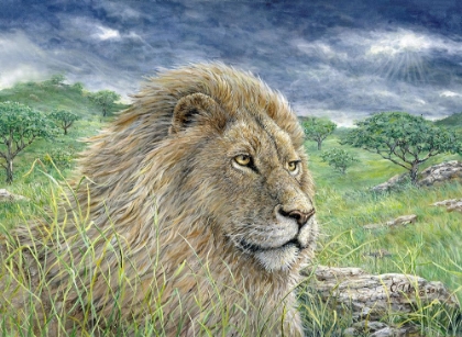 Picture of LION PAINTING FINISHED 2